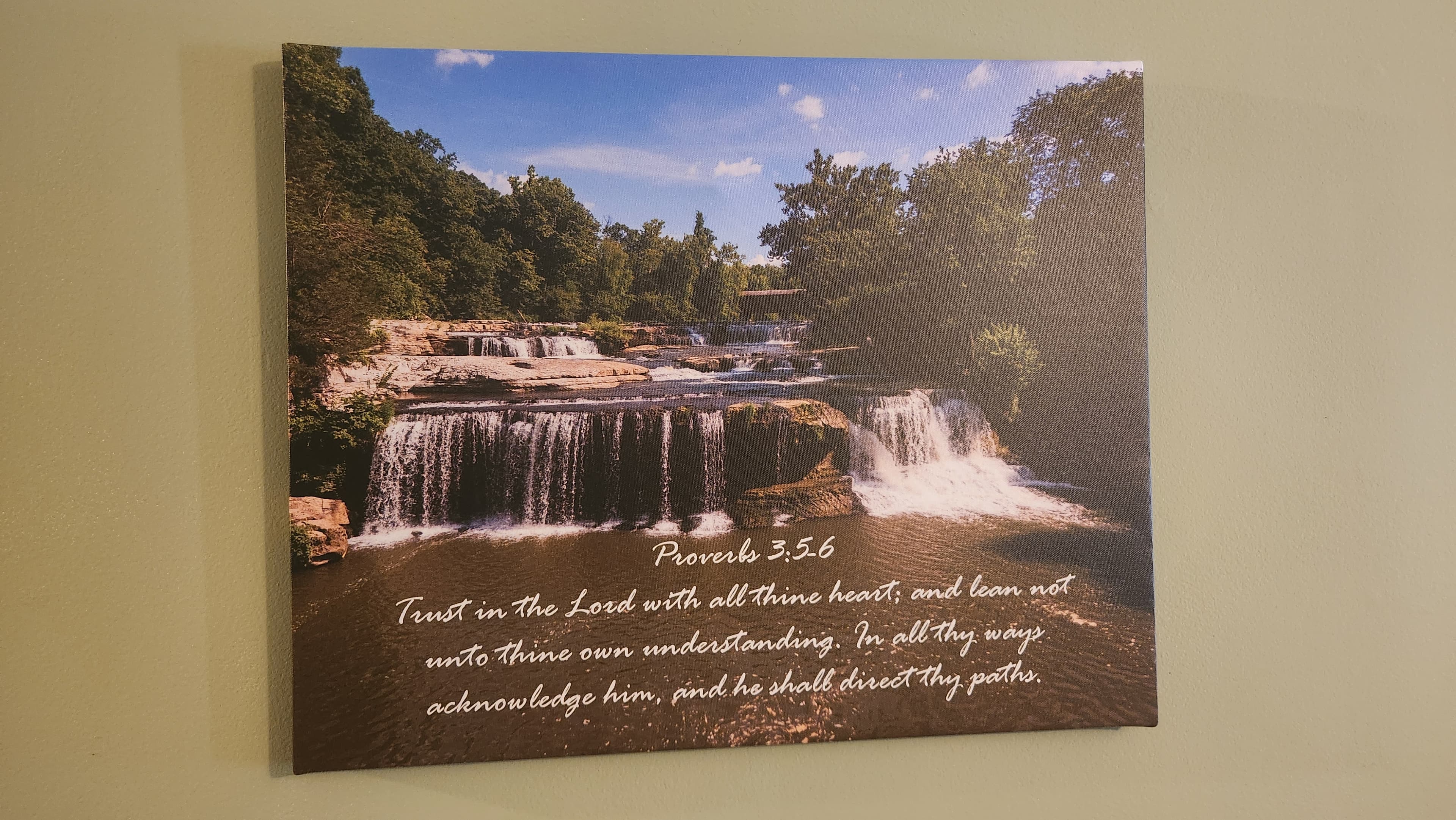 Freedom Flyer LLC photo