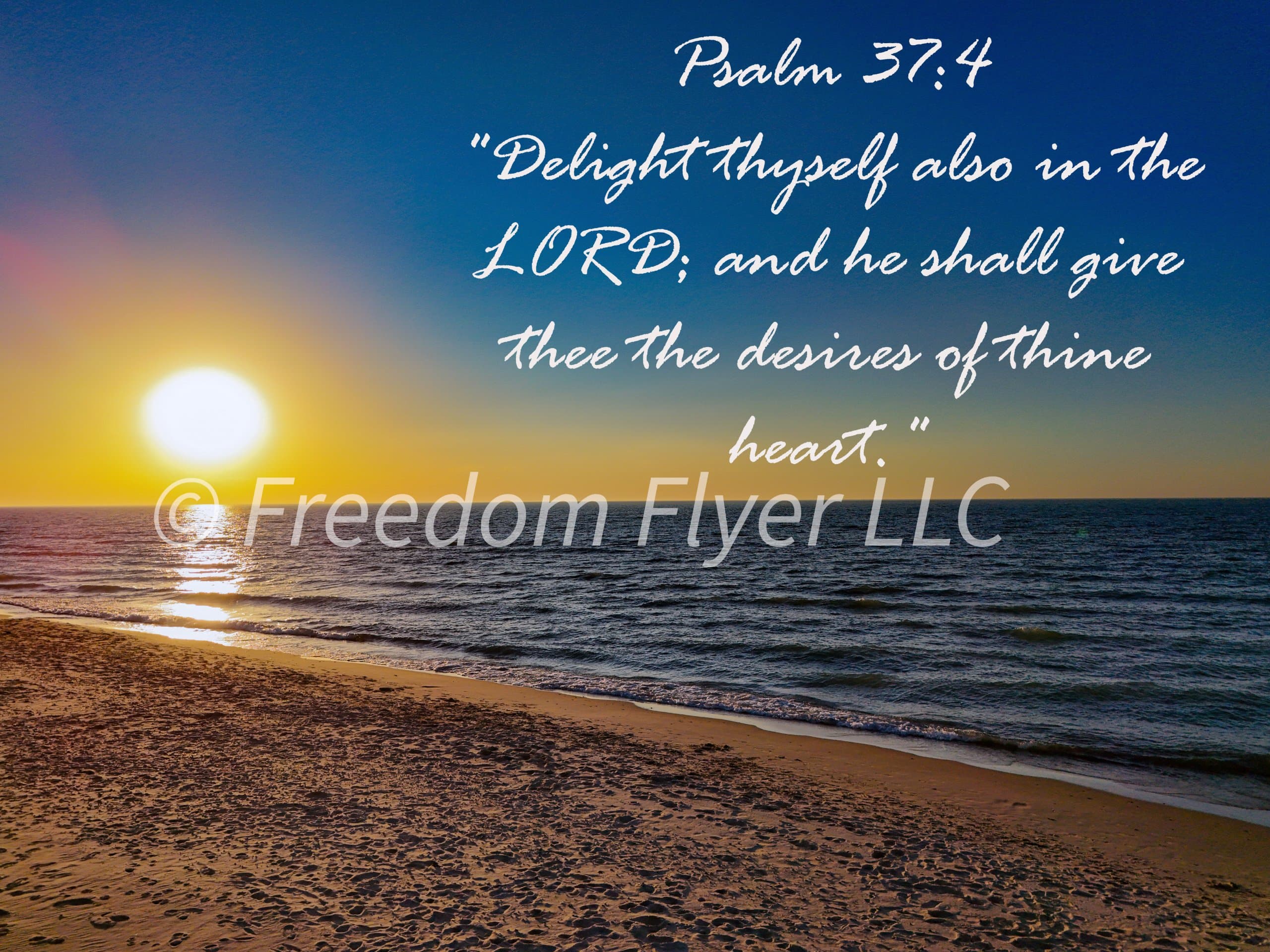 Freedom Flyer LLC photo