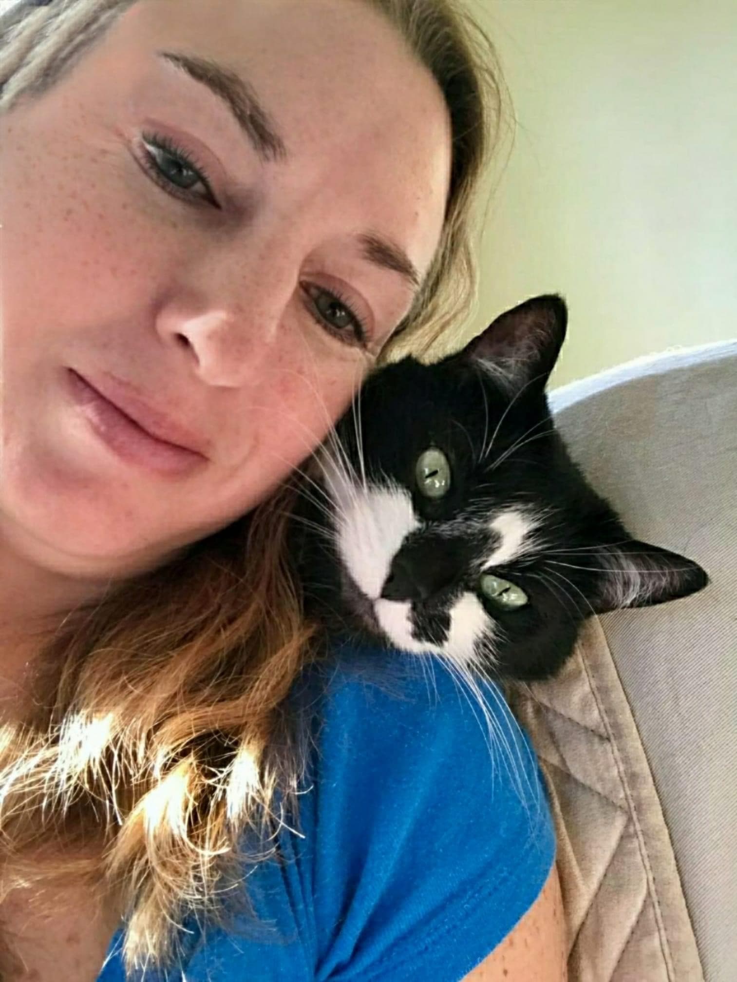 Tracy’s Kitty Care logo